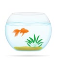 Fish in a transparent aquarium vector illustration Royalty Free Stock Photo