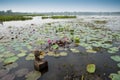 Fish trap in Asian lake Thailand