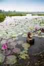 Fish trap in Asian lake Thailand