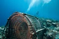 Fish trap placed on a coral reef.