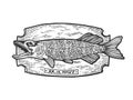 Fish trophy engraving vector illustration Royalty Free Stock Photo