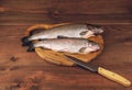 Fish trout on the board Royalty Free Stock Photo