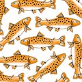 Fish trout pattern Royalty Free Stock Photo