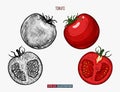 Hand drawn tomato. Template for your design works.