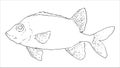 fish vector illustration. fish soldier black outline on a white background isolated element for t template design labels signage,