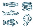 Fish vector isolated icons
