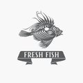 Fish - vector. Logo, badge