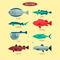 Fish vector set in flat style design. Ocean, sea and river fishes icons collection. Royalty Free Stock Photo