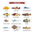 Fish vector set in flat style design. Ocean, sea and river fishes icons collection Royalty Free Stock Photo