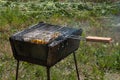 fish with vegetables cooked on the grill grate on an iron grill, which stands on the grass Royalty Free Stock Photo