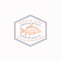 Fish Vintage Frame Badge or Logo Template. Hand Drawn Wild Mirror Carp Sketch Emblem with Retro Typography.