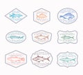Fish Vintage Frame Badges or Logo Templates Set. Tuna, Herring, Mackerel, Sturgeon, etc. Fish Illustrations. Hand Drawn