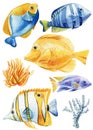 Fish watercolor isolated on a white background. Colorful set fishes hand drawing. Painting tropical fish, underwater Royalty Free Stock Photo