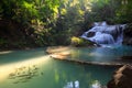 Fish waterfall, rock, tree, water Royalty Free Stock Photo