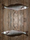 Fish wood background decorative