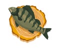 Fish on wooden board. Kitchen cutting board with healthy meal meat. Foodstuff in cartoon style. Concept organic wild