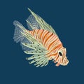 Fish-zebra Pterois volitans Royalty Free Stock Photo