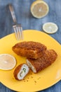 Fish zrazy coat with breadcrumbs