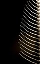 Fishbone background Royalty Free Stock Photo