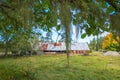 Fishbone beard lichen with a barn in the background Royalty Free Stock Photo
