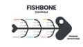 The vector featured a fish skeleton.  A fishbone presentation is a cause-and-effect diagram. A template is a tool to analyze and b Royalty Free Stock Photo