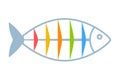 Fishbone colorfull diagram. Royalty Free Stock Photo