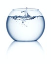 Fishbowl Royalty Free Stock Photo