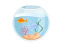 Fishbowl aquarium with water golden fish, sand, corals and shell vector illustration isolated on white background Royalty Free Stock Photo