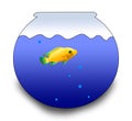 Fishbowl and a fish