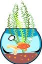 Fishbowl with goldfish Royalty Free Stock Photo