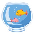 Fishbowl Royalty Free Stock Photo