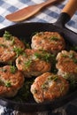 Fishcakes with herbs close-up in a pan. vertical Royalty Free Stock Photo