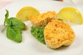 Fishcakes with lemon Royalty Free Stock Photo