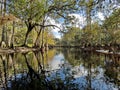 Fisheating Creek near Palmdale, Florida.