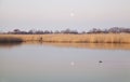 A fisheman boat and a duck on the river at sunrise, full moon reflected in the water. River Samara Royalty Free Stock Photo