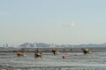 Fisheman boat moor at low tide sea