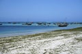 fisher baots at the coast of zanzibar Royalty Free Stock Photo