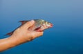 Fisher man holding in his hand caught, river fish