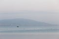 A fisher man on a little boat on a lake, with many birds on the Royalty Free Stock Photo