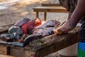 Fisher`s hands cleaning fish outdoor Royalty Free Stock Photo