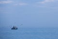 Fisher ship, blue Pacific Ocean and many birds flying over, Peru Royalty Free Stock Photo