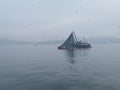 Fisherboat at the bosphorus ÃÂ°stanbul in foggy morning.