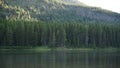 Fishercap Lake Wide Shot With Moose Swimming