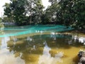 Fisheries pond in old farm house Royalty Free Stock Photo