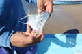 Fisherman on the beach of Los Cobanos Royalty Free Stock Photo