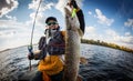 Fisherman and big trophy Pike. Royalty Free Stock Photo