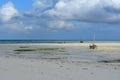 Fisherman boat on the beach in Zanzibar Island Royalty Free Stock Photo