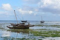 Fisherman boat on the beach in Zanzibar Island Royalty Free Stock Photo