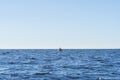 Fisherman on boat in blue ocean. Beautiful seascape with the fishing boat. Fishing motor boat with angler. Ocean sea water wave Royalty Free Stock Photo