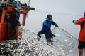 On the fisherman boat, Catching many fish